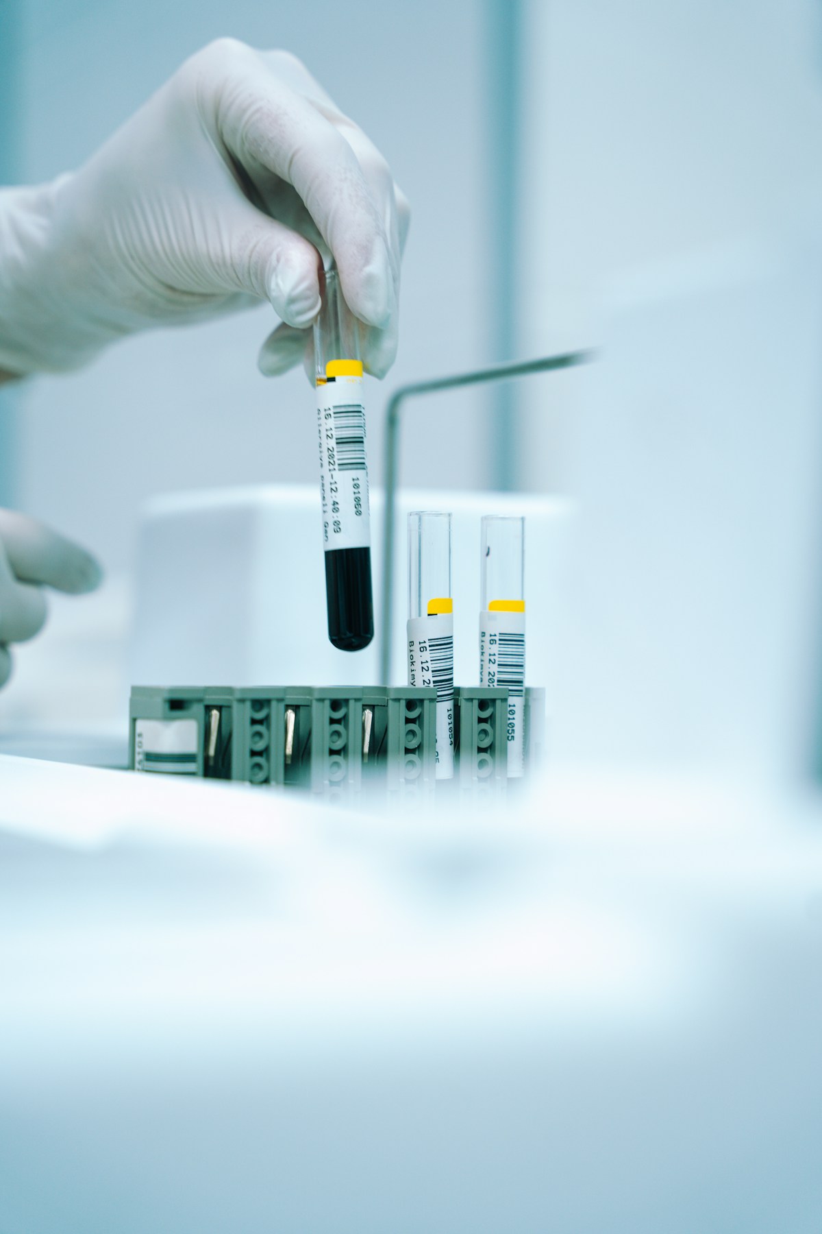 Laboratorios de Segundo y Tercer Trimestre